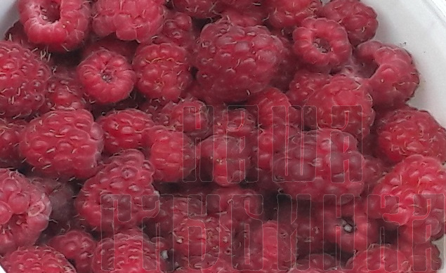 Малину купить с доставкой свежую. Цена в Москве на ягоды в розницу.