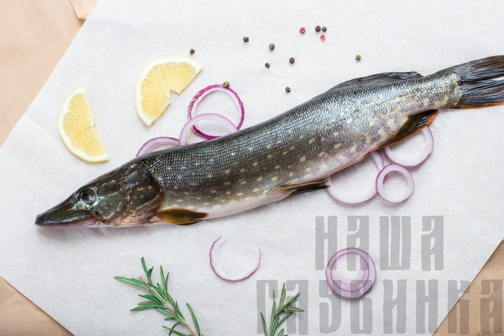 Щука свежая, купить в Москве с доставкой на дом в магазине «Наша глубинка».