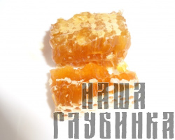 Мед разнотравье в сотах