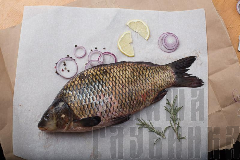 Сазан свежий, купить в Москве с доставкой на дом в магазине «Наша глубинка».