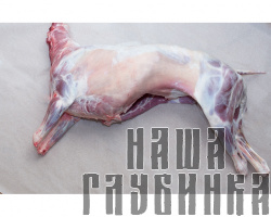 Туша барана