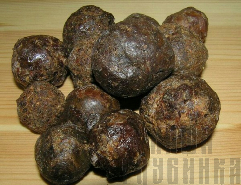 Прополис купить в Москве.