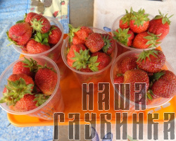 Виктория (клубника)