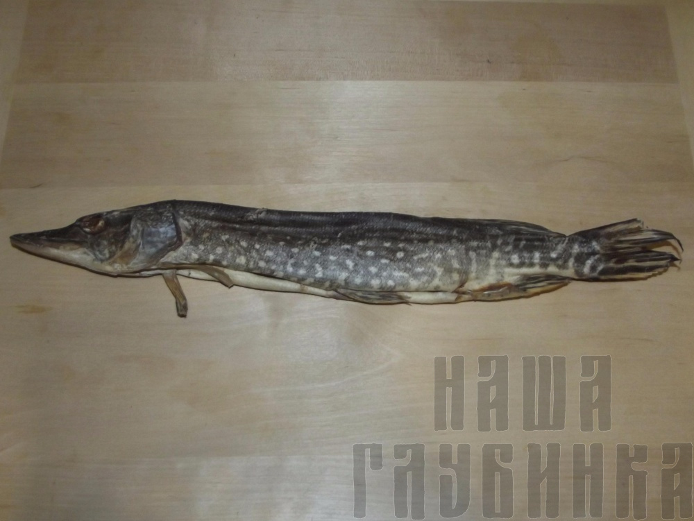Щука вяленая