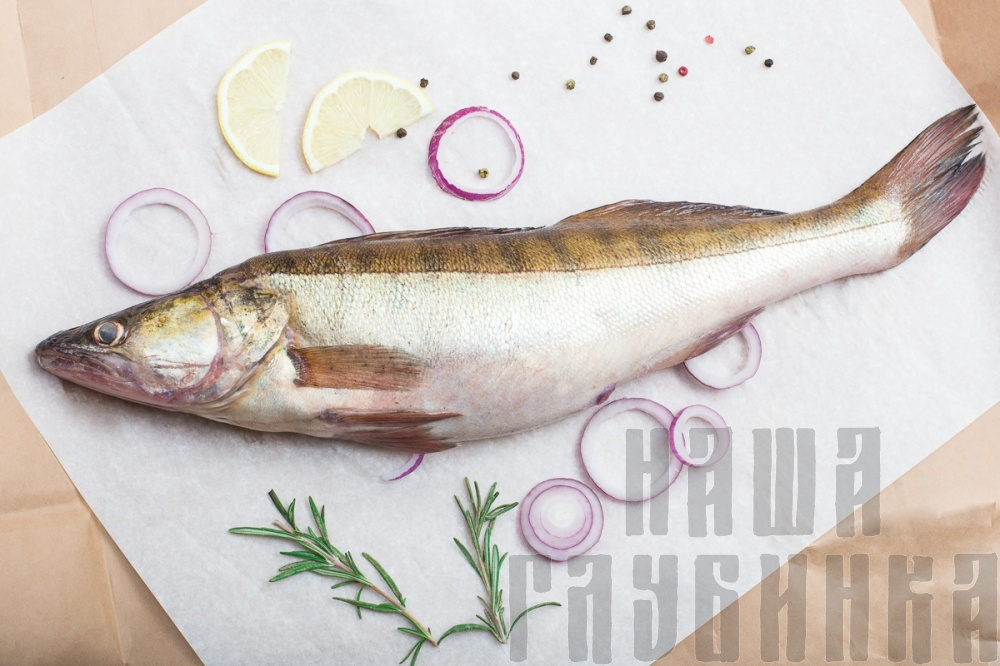 Свежий крупный судак, купить в Москве с доставкой на дом в магазине "Наша глубинка".