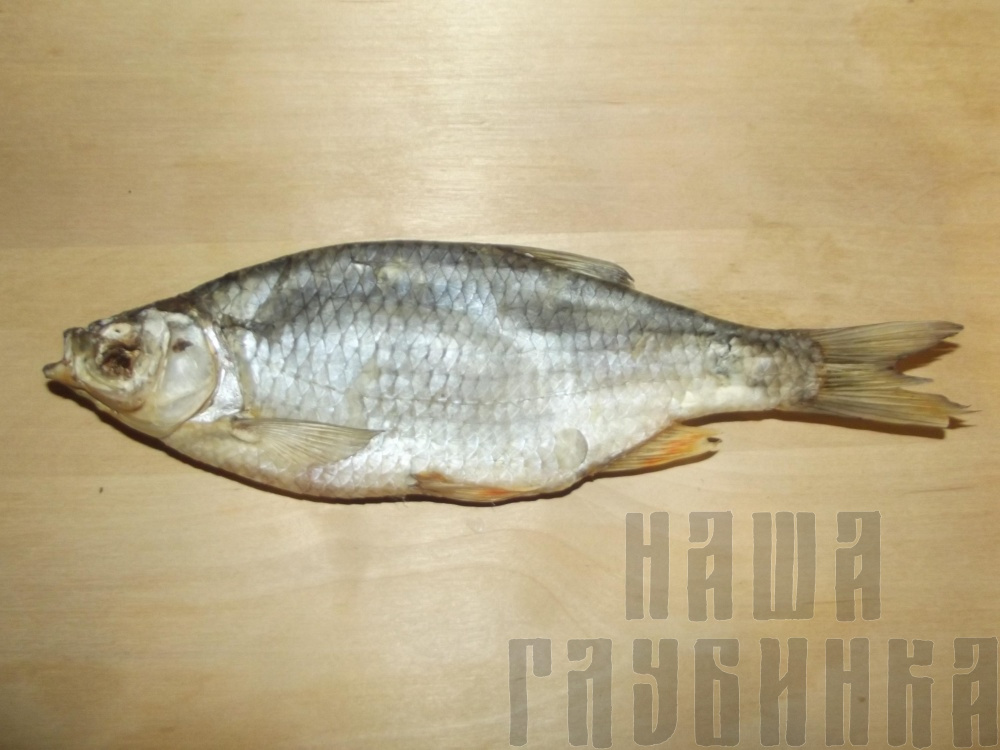 Краснопёрка вяленая