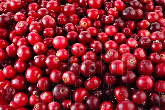 Купить свежие ягоды клюквы в Москве с доставкой на дом.